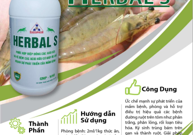 HERBAL S - ỨC CHẾ MẦM BỆNH
