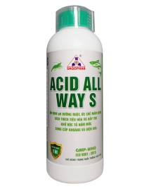 ACID ALL WAY