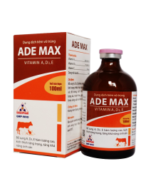 ADE MAX