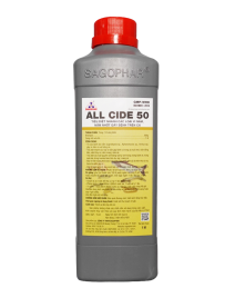 ALL CIDE 50