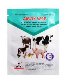 AMOX WSP