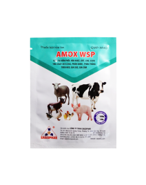 AMOX WSP