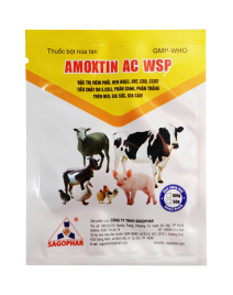 AMOXTIN AC WSP (Nhãn vàng)