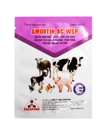 AMOXTIN AC WSP (Nhãn hồng)