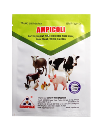 AMPICOLI (nhãn xanh)