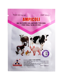 AMPICOLI (nhãn hồng)
