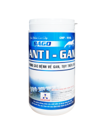 ANTI - GAN
