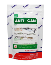 ANTI – GAN - CÁ