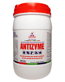 ANTIZYME HLC