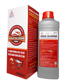 AQUA GLUDINE