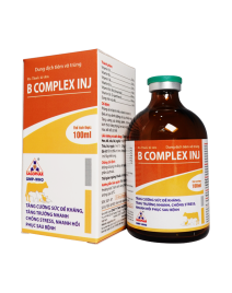 B COMPLEX INJ 