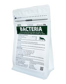 SAGO-BACTERIA