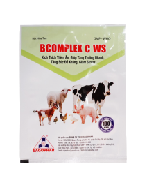 BCOMPLEX C WS 