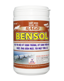 BENSOL WS