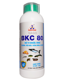 BKC 80 - CÁ