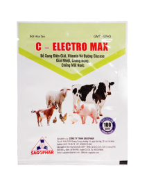 C – ELECTRO MAX