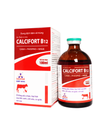 CALCIFORT B12