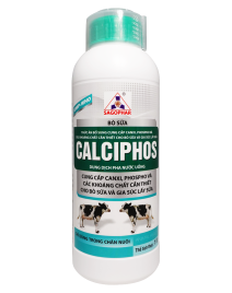CALCIPHOS (BÒ SỮA)