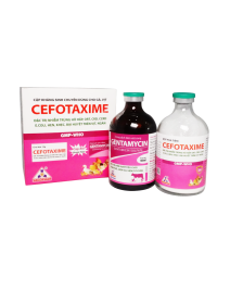 CEFOTAXIME - GENTAMYCIN
