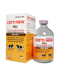 CEFTI NEW INJ - BÒ SỮA