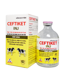 CEFTIKET INJ - BÒ SỮA