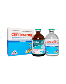  CẶP PHA TIÊM CEFTRIAXONE + ENRO 100