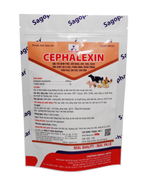 CEPHALEXIN