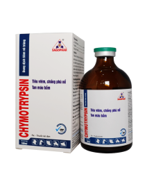 CHYMOTRYPSIN