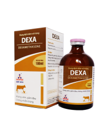 DEXA