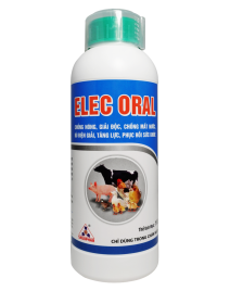 ELEC ORAL