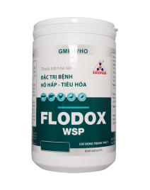 FLODOX WSP HLC 