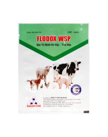 FLODOX WSP 