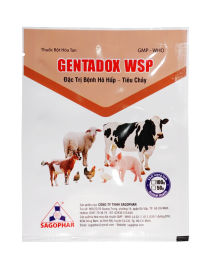 GENTADOX WSP