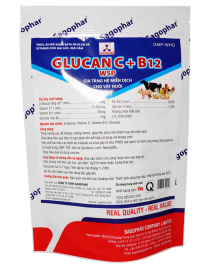GLUCAN C + B12 WSP 