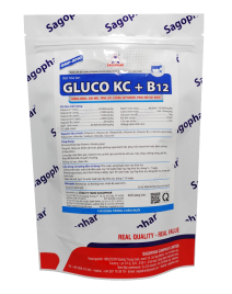 GLUCO KC + B12