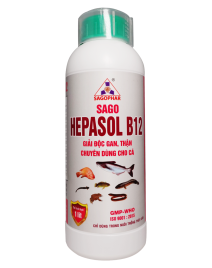 HEPASOL B12