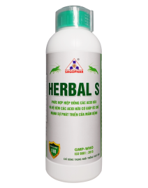 HERBAL S