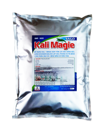 KALI MAGIE
