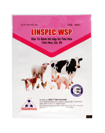 LINSPEC WSP 