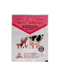MULTI – VITA PLUS 