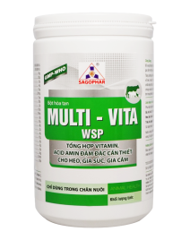 MULTI - VITA WSP 