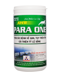 ANTI - PARA ONE