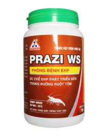 PRAZI WS 