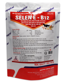 SELEN E - B12 - NHÃN ĐỎ