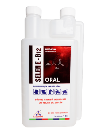 SELEN E - B12 ORAL