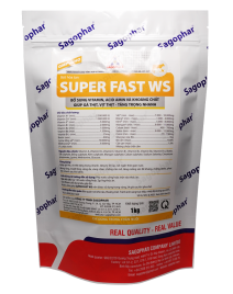 SUPER FAST WS 