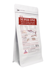 SUPER ONE