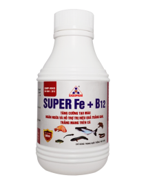 SUPER Fe + B12
