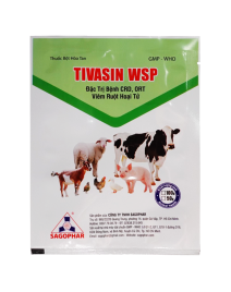TIVASIN WSP 
