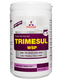 TRIMESUL WSP HLC 